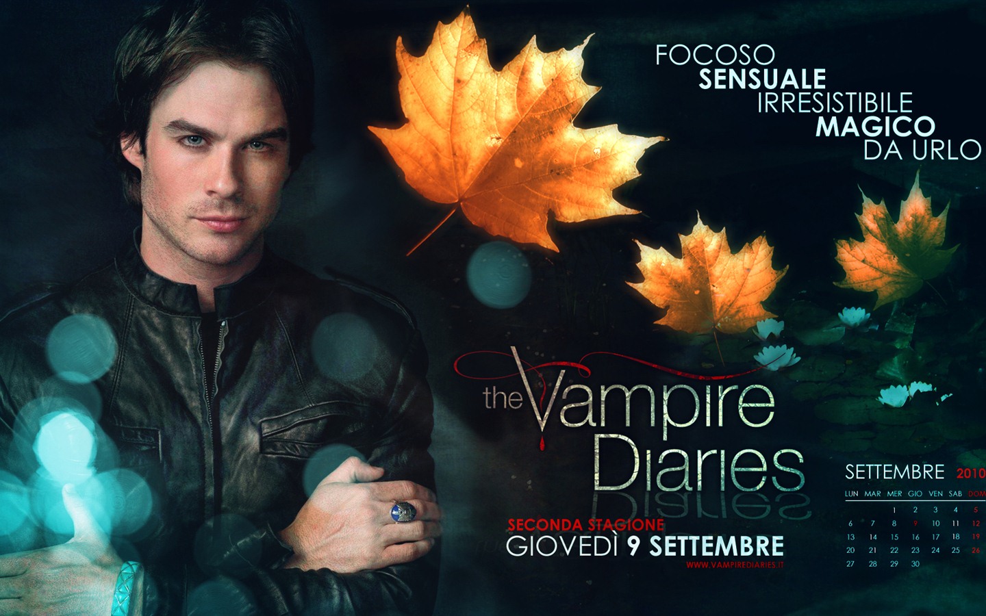 The Vampire Diaries HD 吸血鬼日记 高清壁纸16 - 1440x900