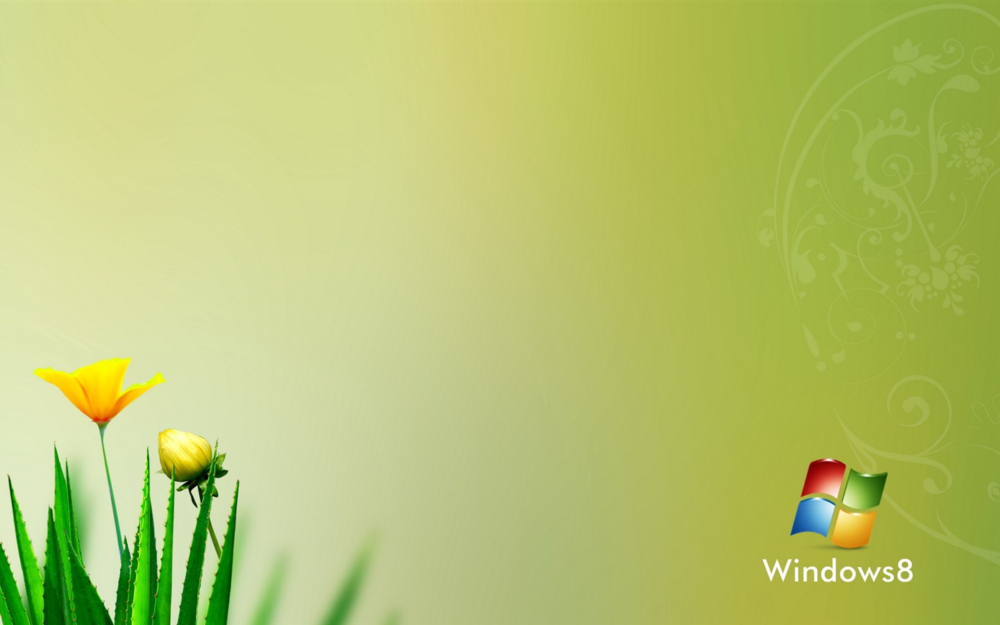 윈도우 8 테마 배경 화면 (1) #10 - 1440x900