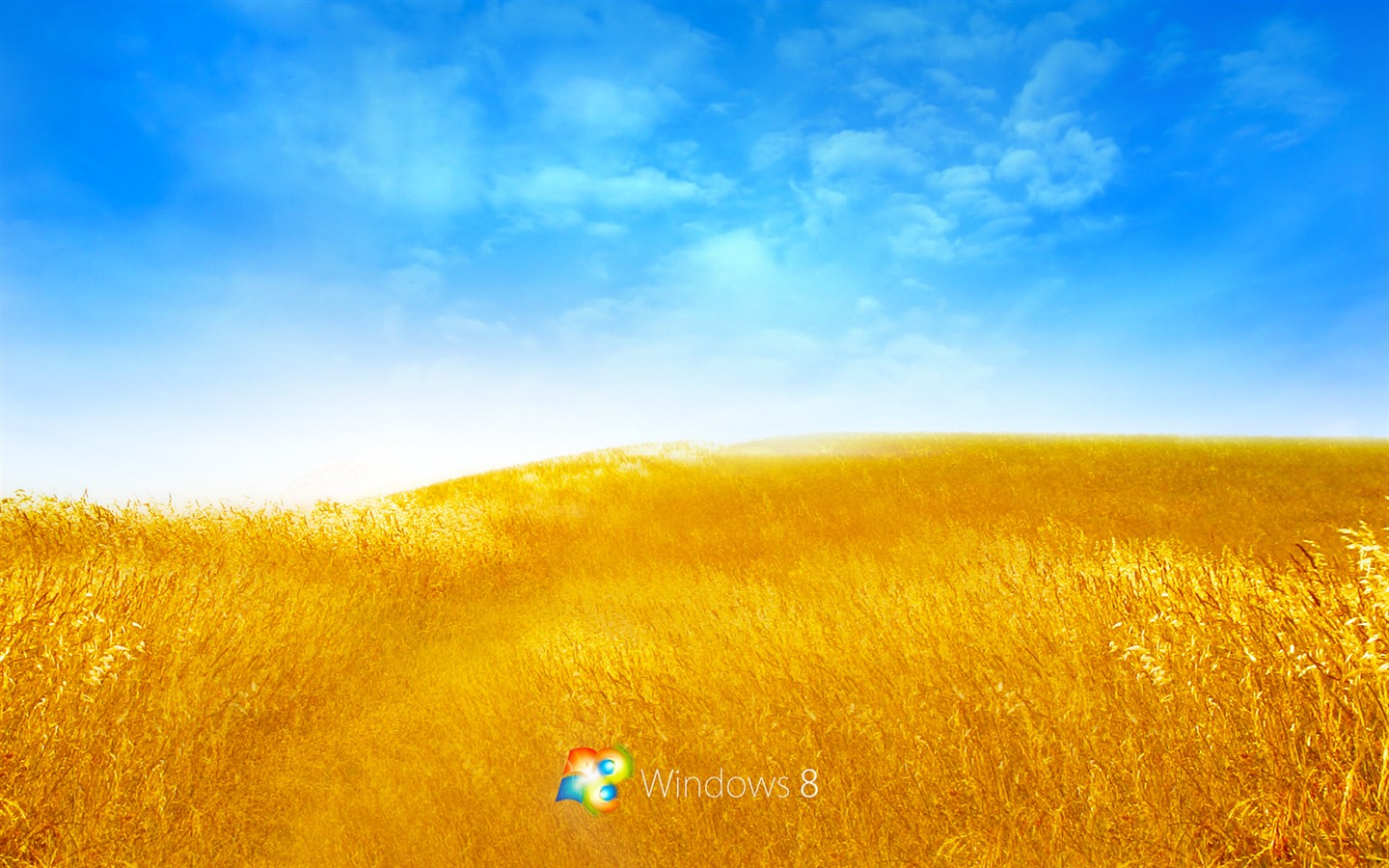 Windows 8 Тема обои (2) #16 - 1440x900