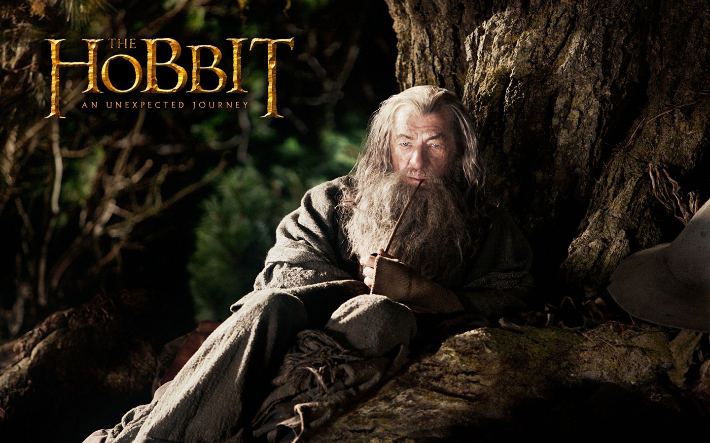 El Hobbit: Un viaje inesperado fondos de pantalla HD #10 - 1440x900