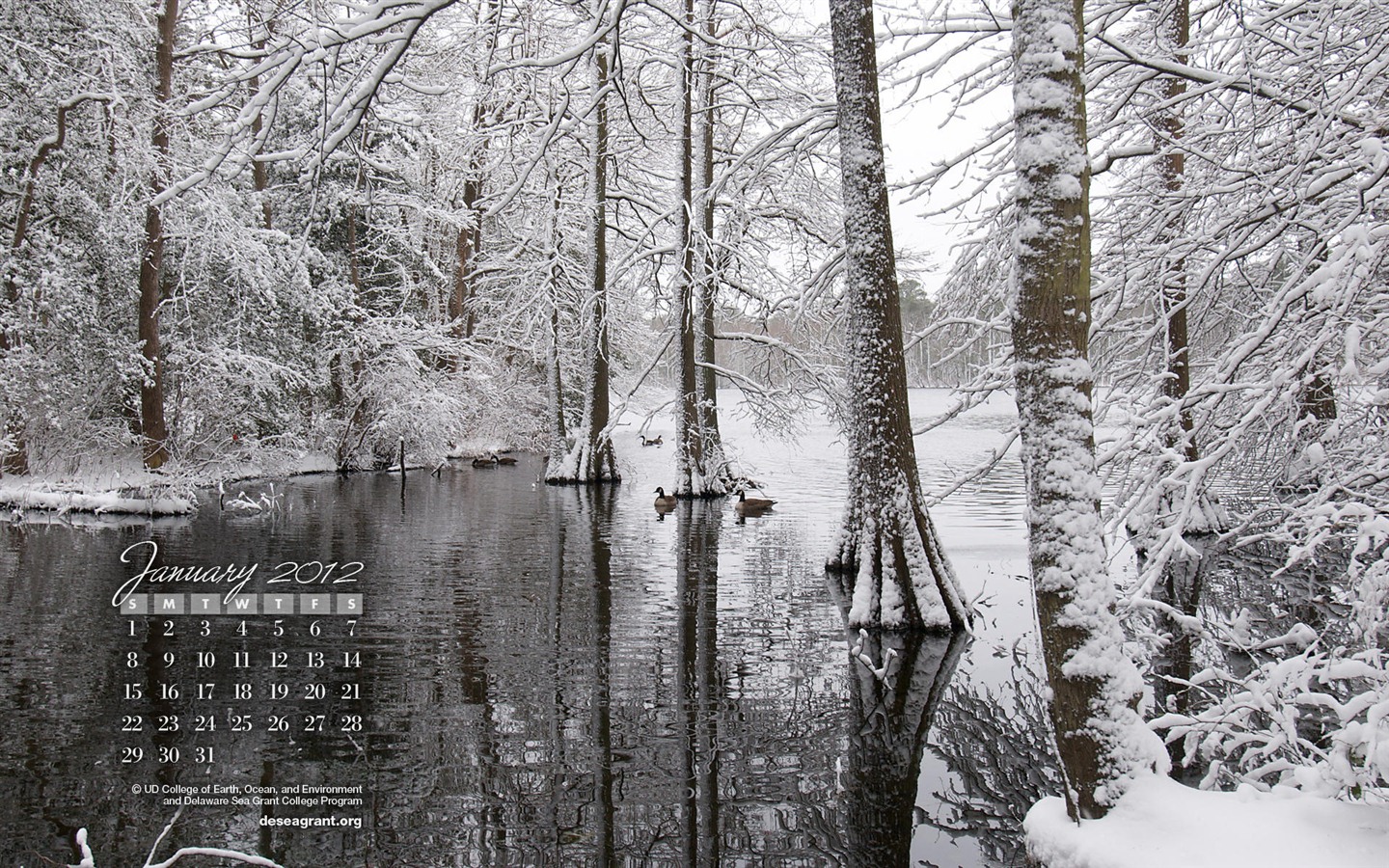 Январь 2012 Календарь Обои #2 - 1440x900