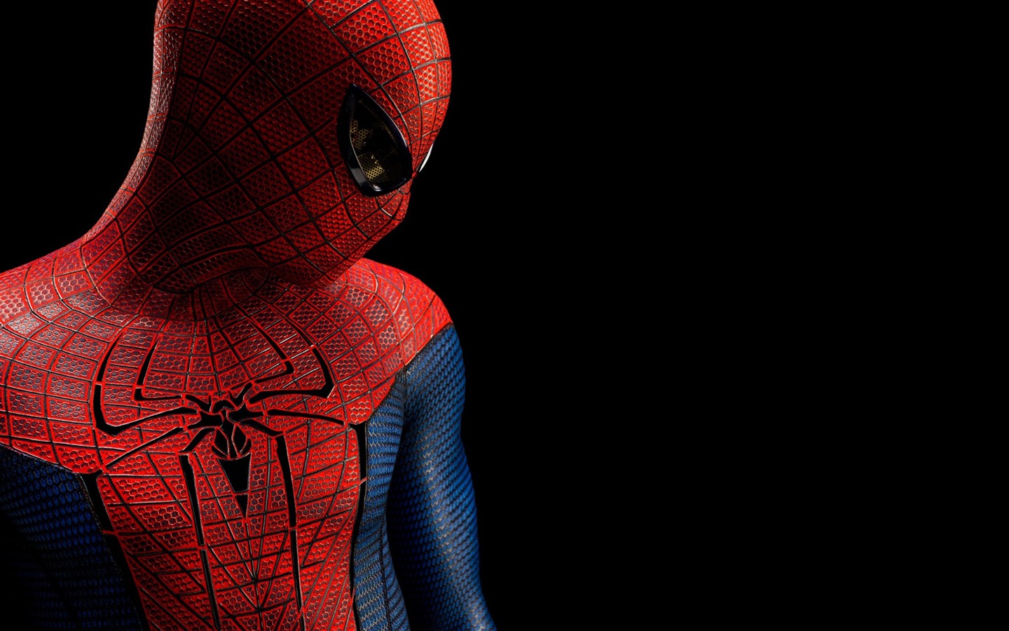 The Amazing Spider-Man 2012 tapety #14 - 1440x900
