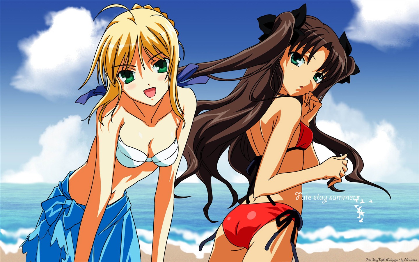 Fate Stay Night HD tapety na plochu #4 - 1440x900