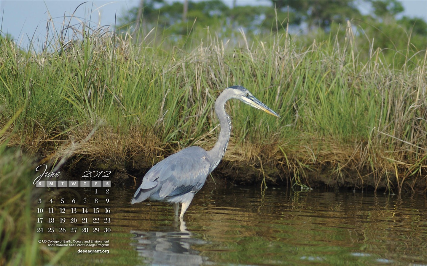 Juni 2012 Kalender Wallpapers (1) #10 - 1440x900