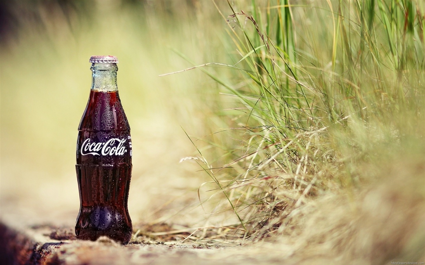Coca-Cola красивыми обоями объявление #23 - 1440x900