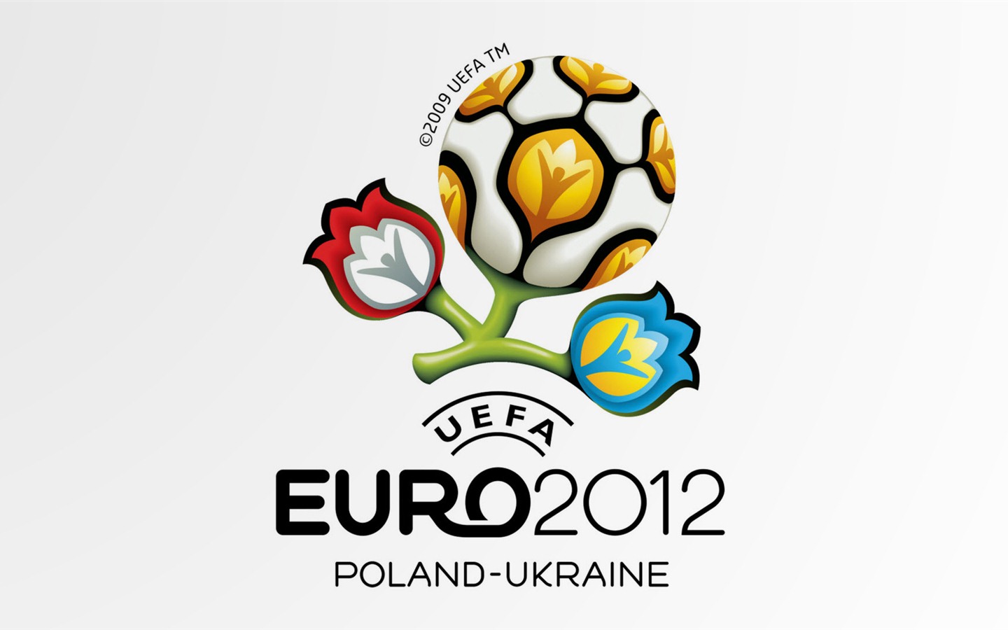 UEFA EURO 2012 fondos de pantalla de alta definición (2) #1 - 1440x900