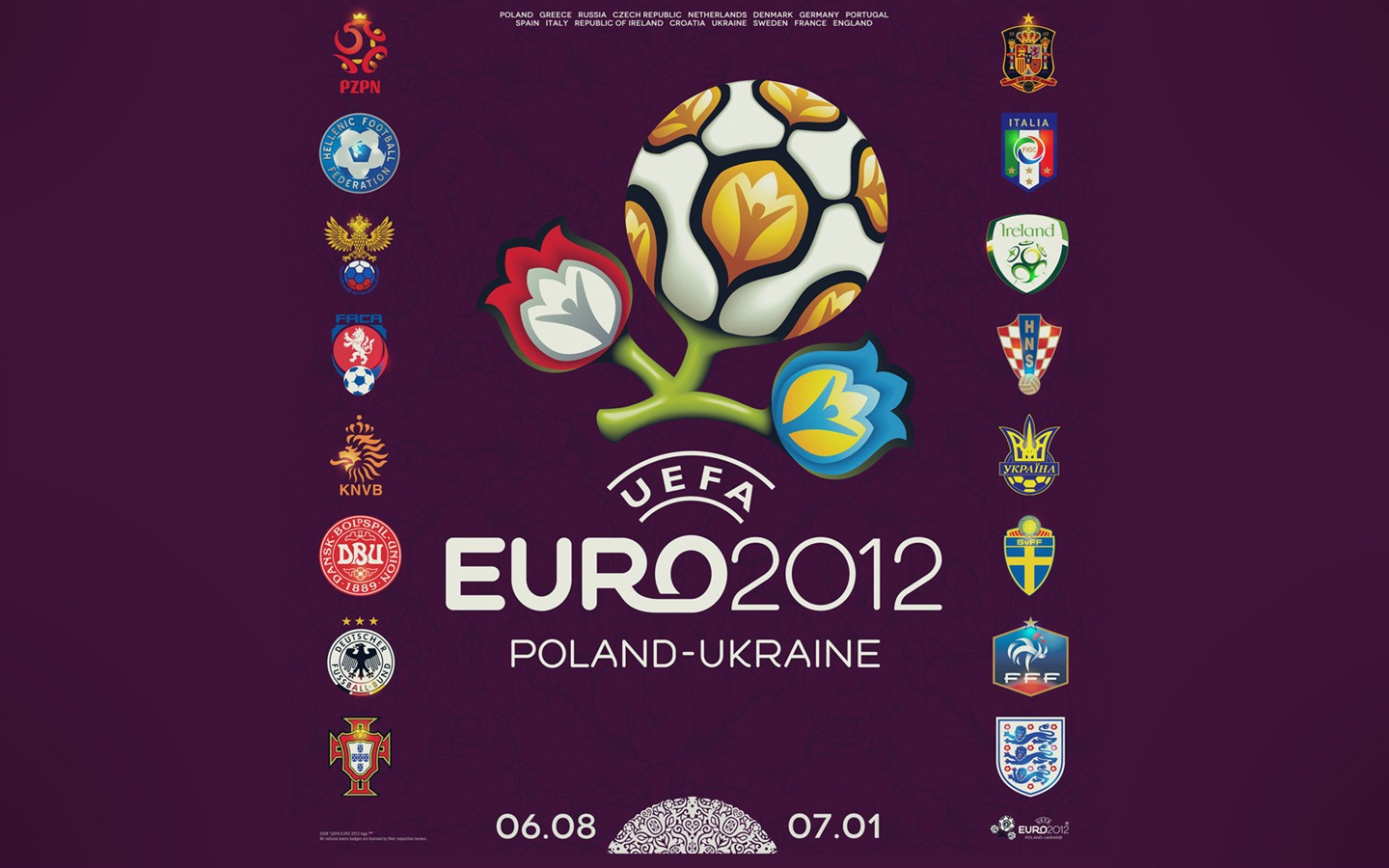 UEFA EURO 2012 HD wallpapers (2) #12 - 1440x900
