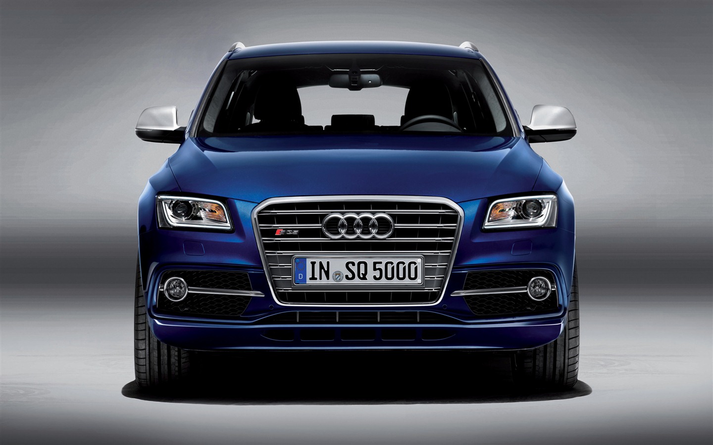 2013 Audi TDI SQ5 fondos de pantalla de alta definición #3 - 1440x900