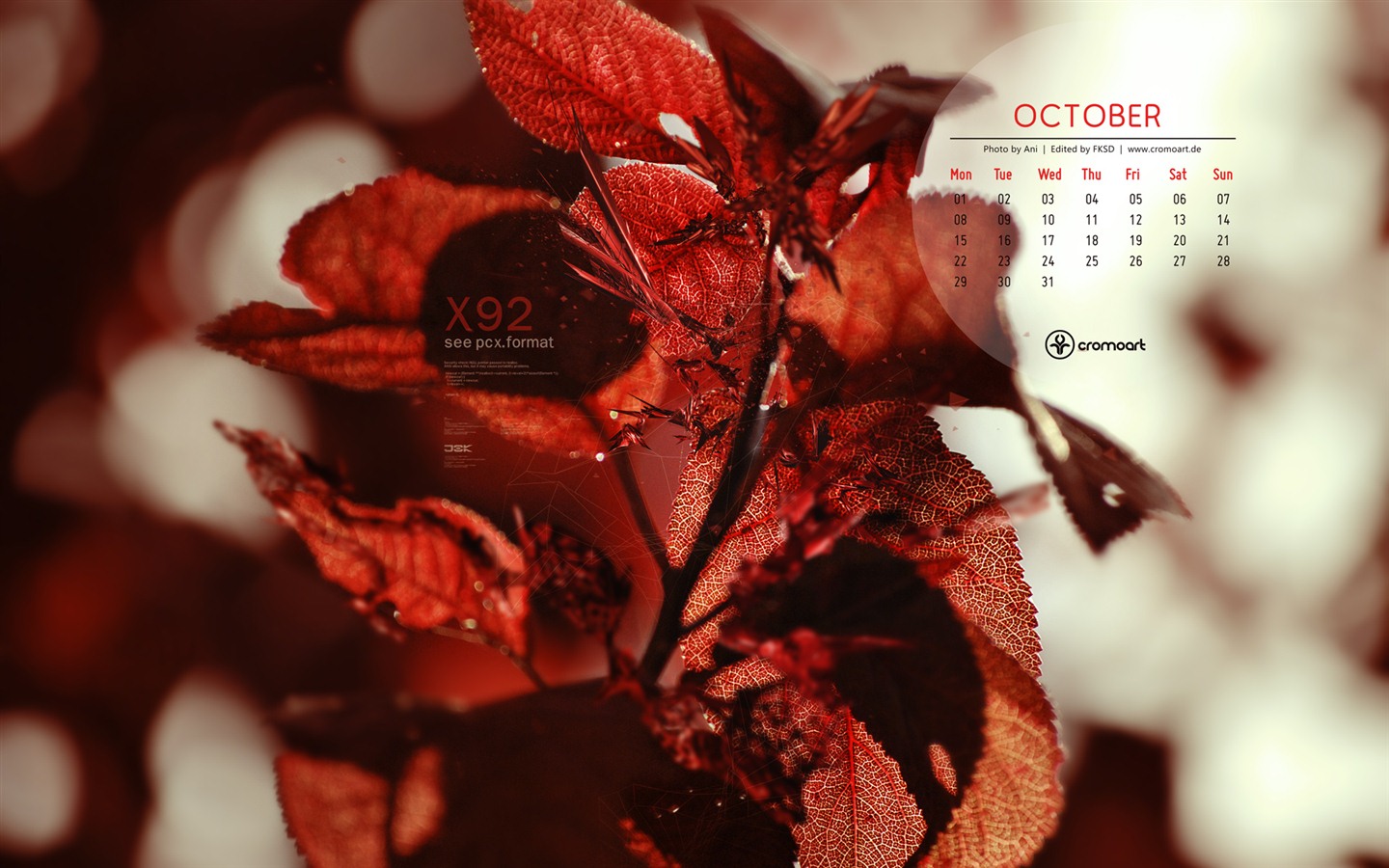 Octobre 2012 Calendar Wallpaper (2) #20 - 1440x900