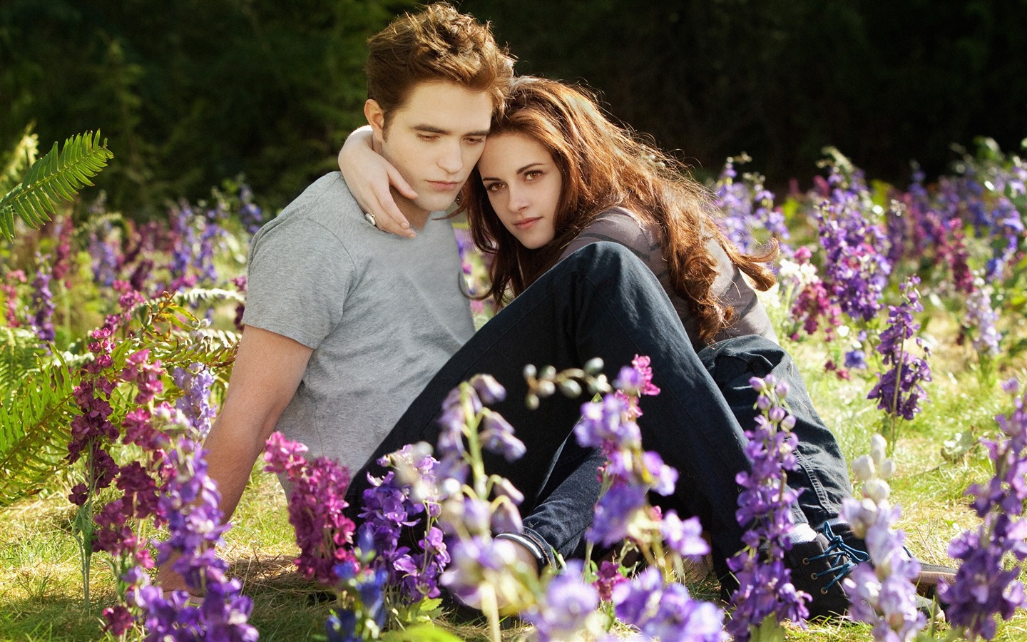 The Twilight Saga: Breaking Dawn HD Wallpaper #4 - 1440x900