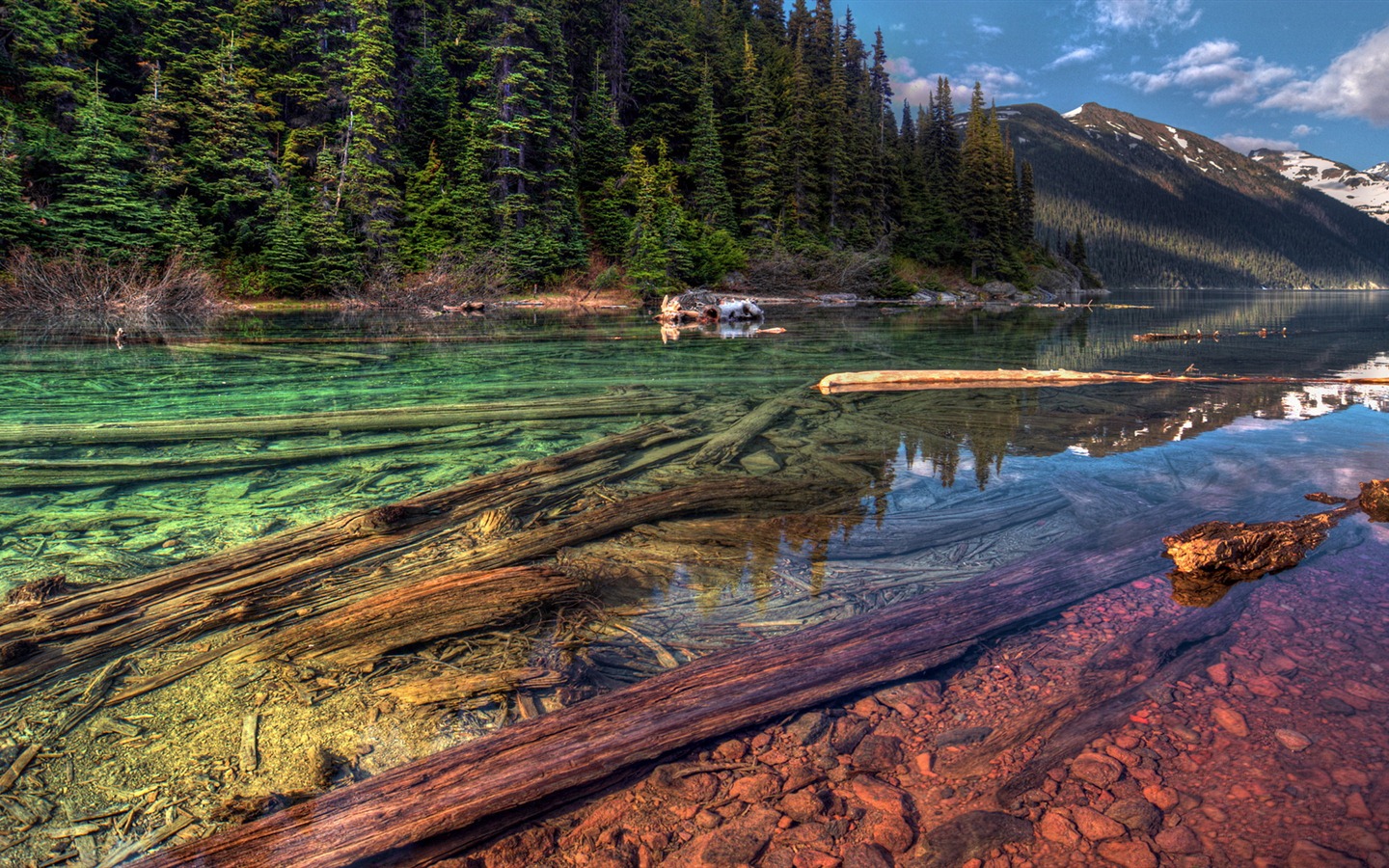 湖、海、木、森、山、美しい風景の壁紙 #9 - 1440x900