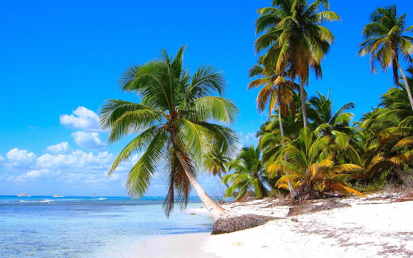 Windows 8 壁紙：加勒比海濱 #2 - 1440x900