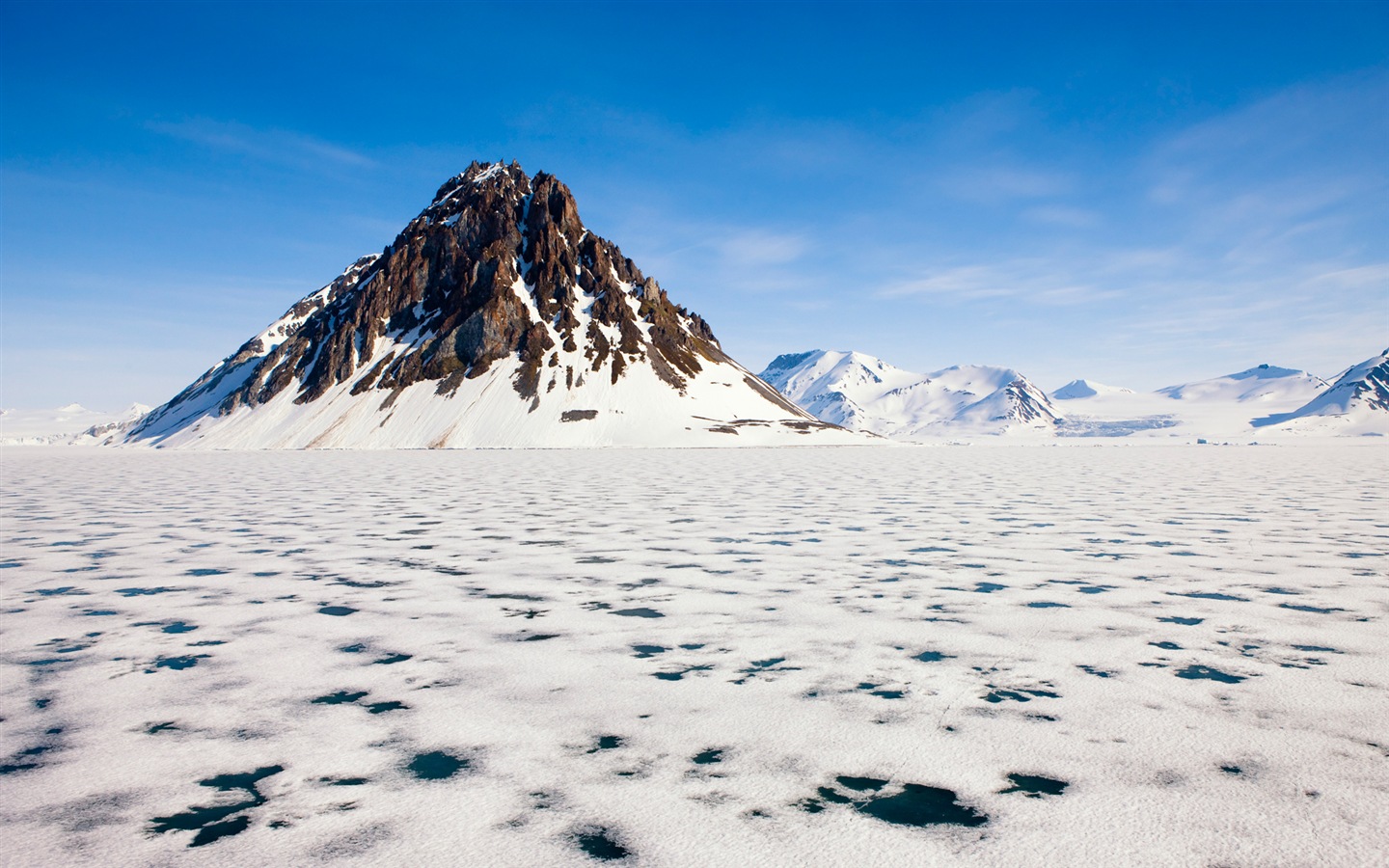 윈도우 8 배경 화면 : 북극의 자연 생태 경관, 북극 동물 #1 - 1440x900