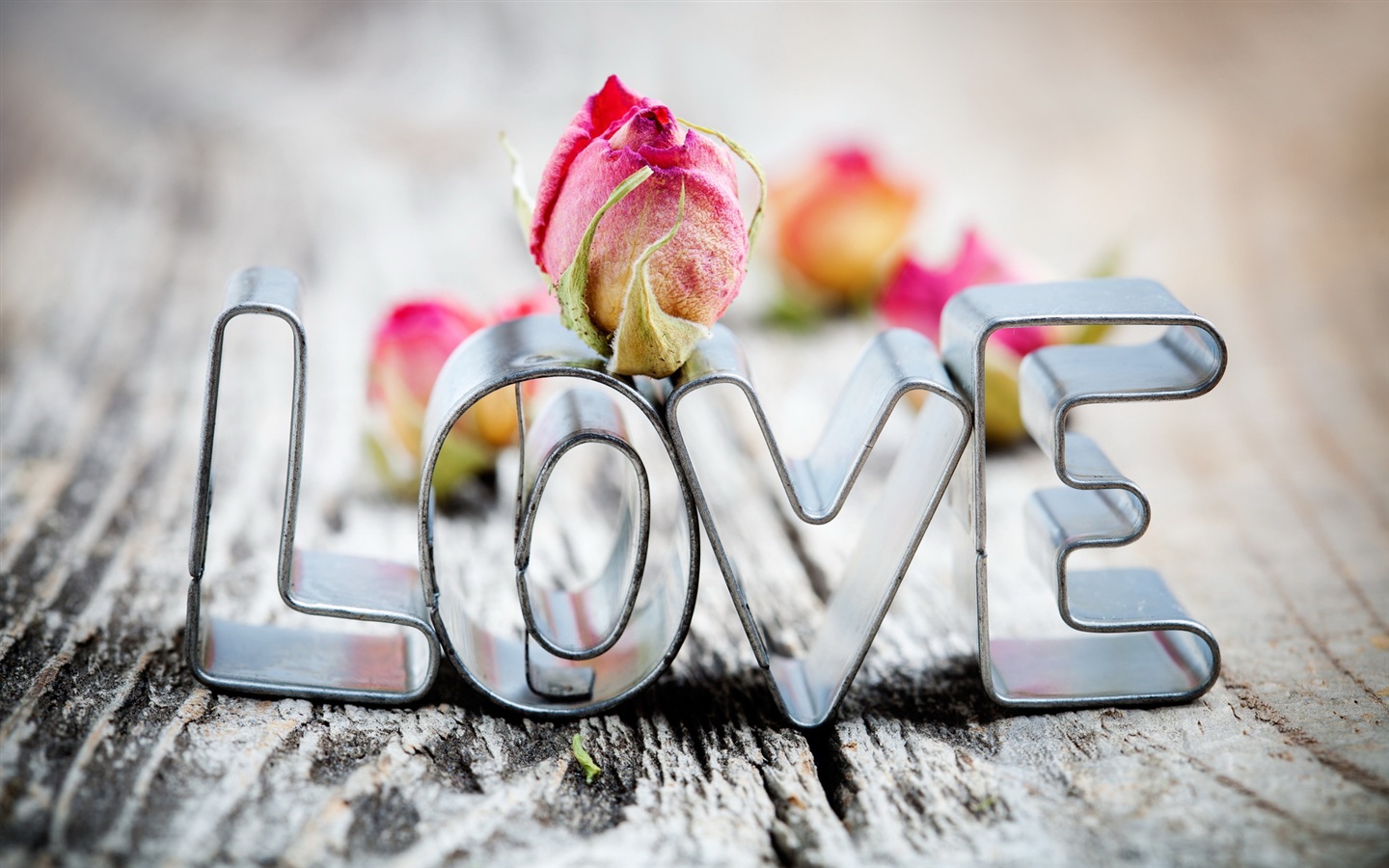 Teplé a romantické Valentýna HD Tapety na plochu #1 - 1440x900