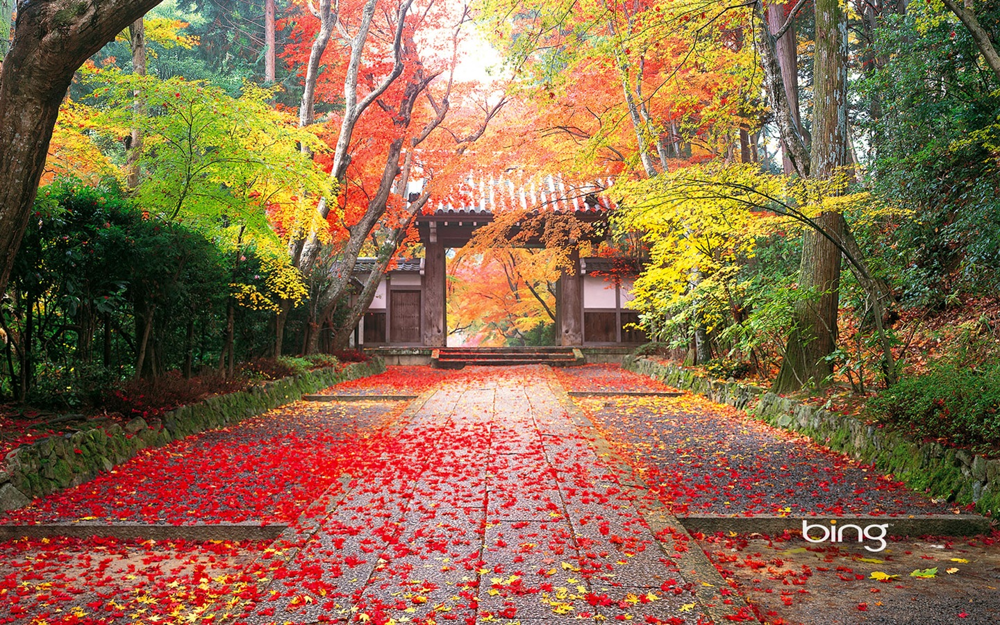마이크로 소프트 빙 HD 배경 화면 : 일본 풍경 테마 벽지 #1 - 1440x900