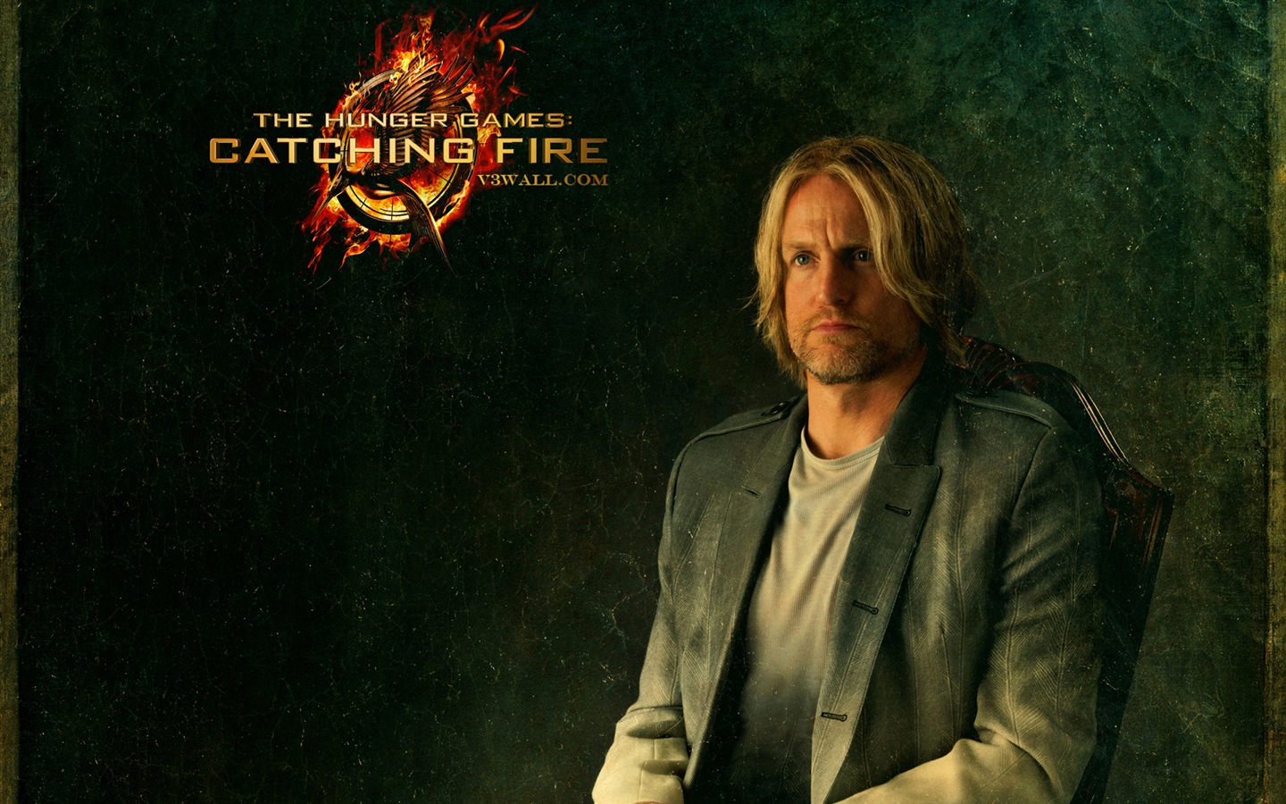 The Hunger Games: Catching Fire 饥饿游戏2：星火燎原 高清壁纸12 - 1440x900