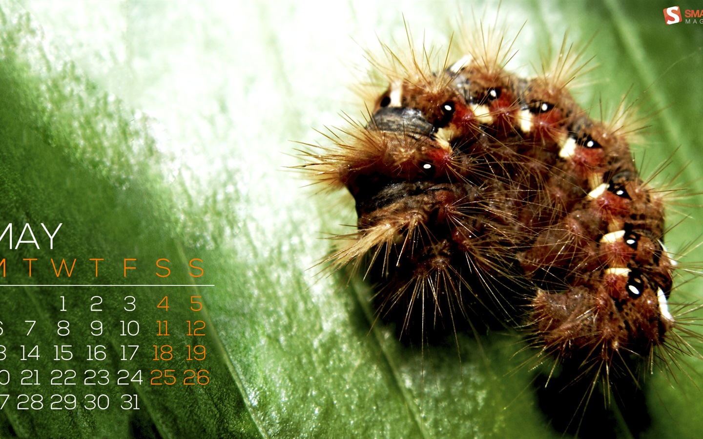 May 2013 calendar wallpaper (1) #1 - 1440x900