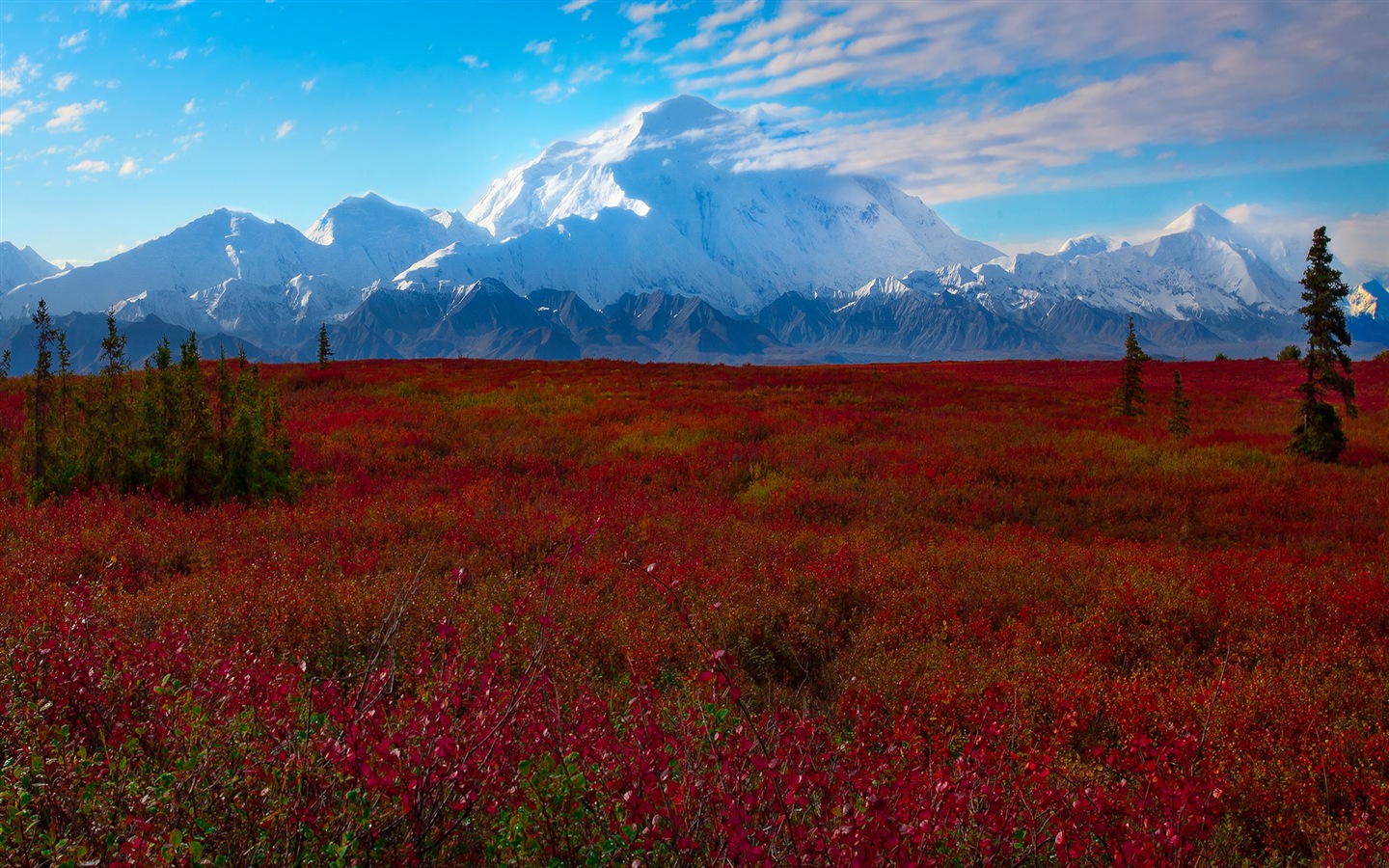 Denali National Park 丹那利国家公园 高清风景壁纸7 - 1440x900