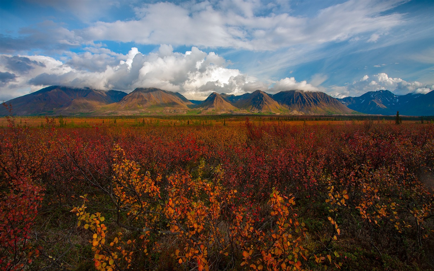 Denali National Park HD Tapety #9 - 1440x900