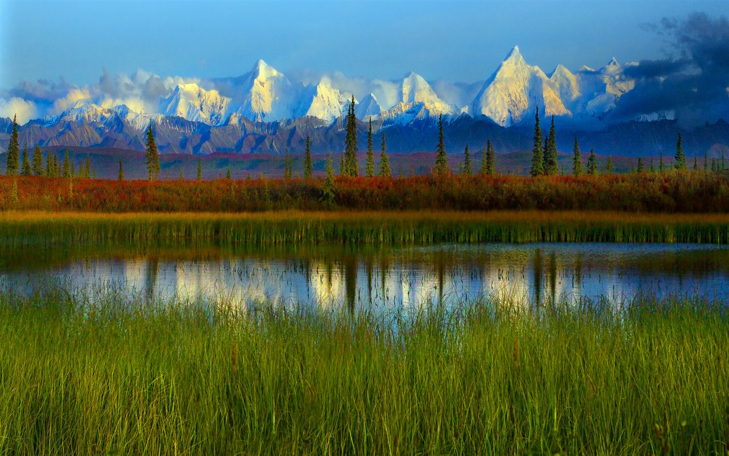 Denali National Park Landschaft HD Wallpaper #14 - 1440x900