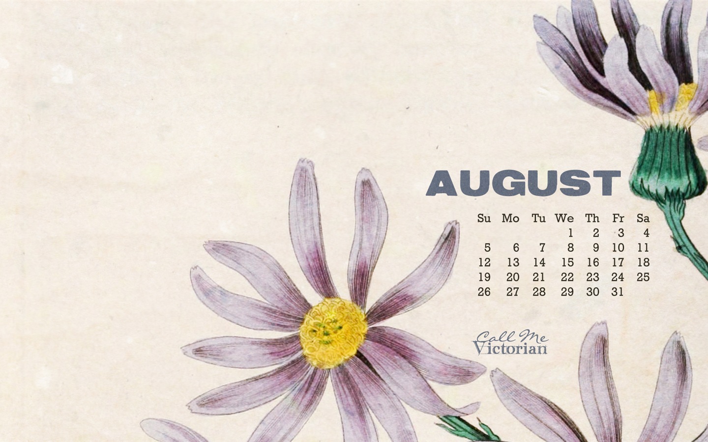 2013年8月 月曆壁紙(一) #2 - 1440x900