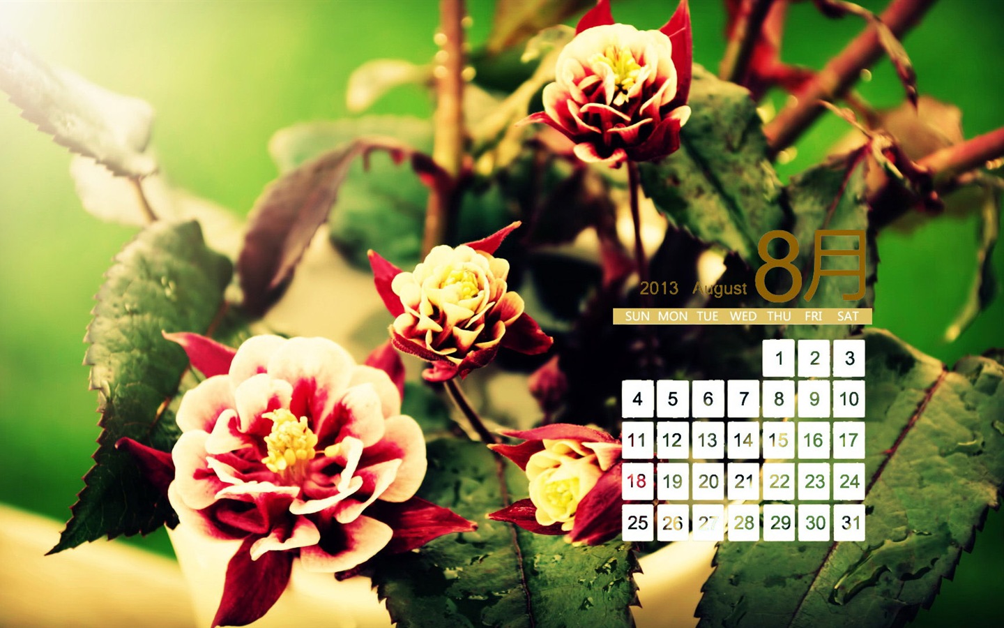 08 2013 calendario fondo de pantalla (1) #18 - 1440x900