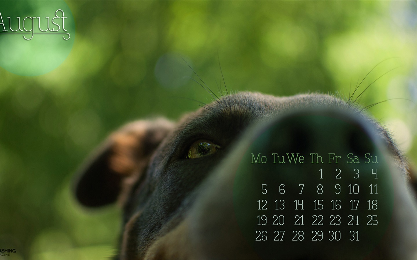 August 2013 calendar wallpaper (2) #15 - 1440x900