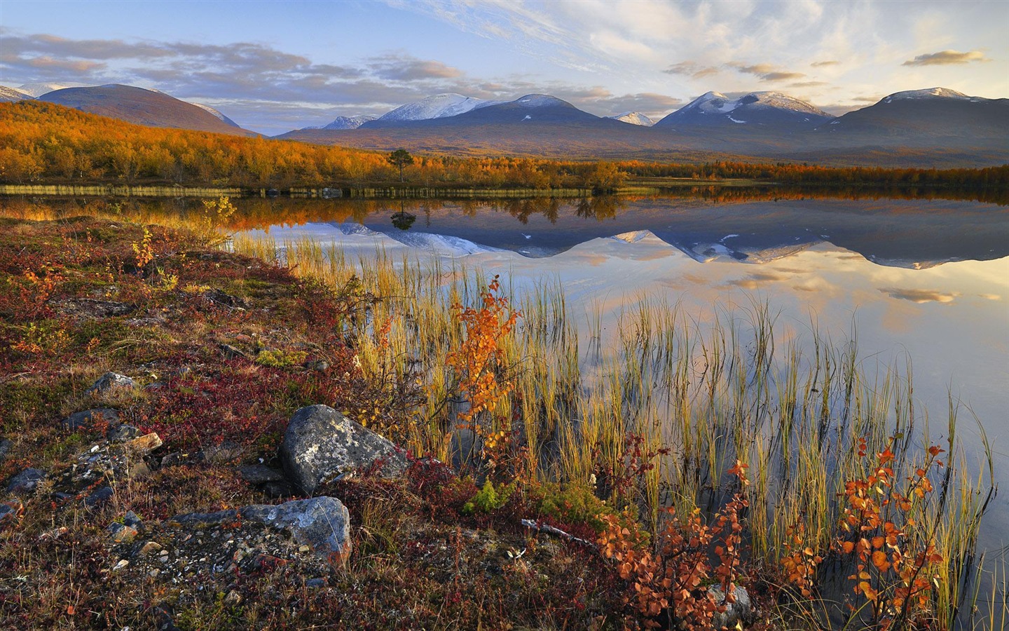 스웨덴 사계절 자연의 아름다움 HD 배경 화면 #8 - 1440x900