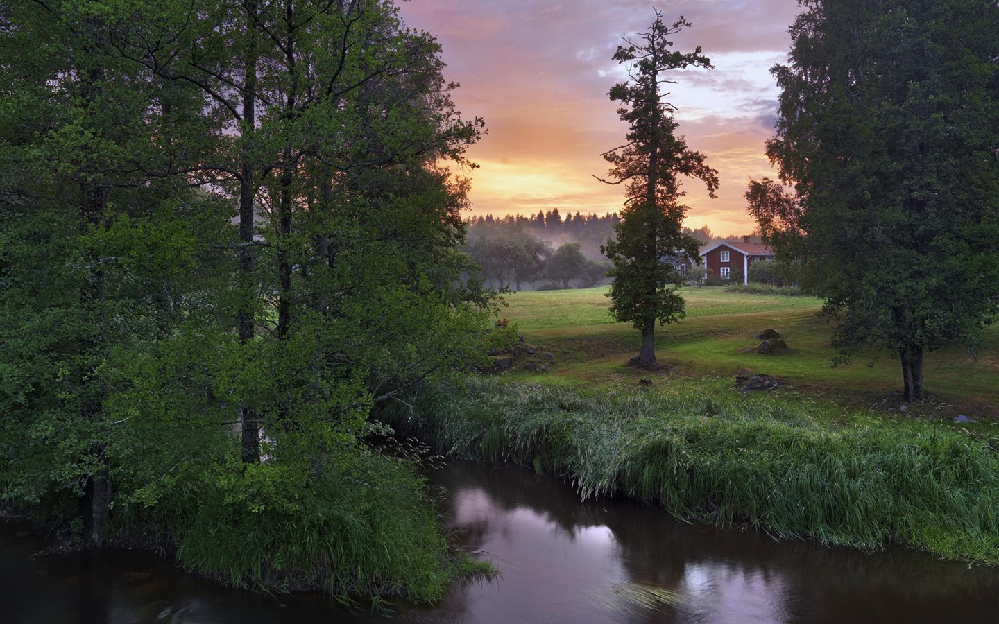 스웨덴 사계절 자연의 아름다움 HD 배경 화면 #10 - 1440x900