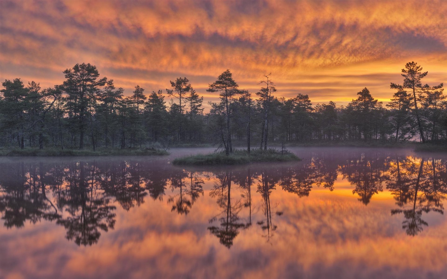 스웨덴 사계절 자연의 아름다움 HD 배경 화면 #11 - 1440x900