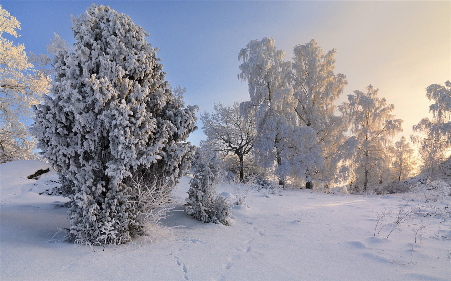 Švédsko sezón přírodní krásy HD tapety na plochu #19 - 1440x900