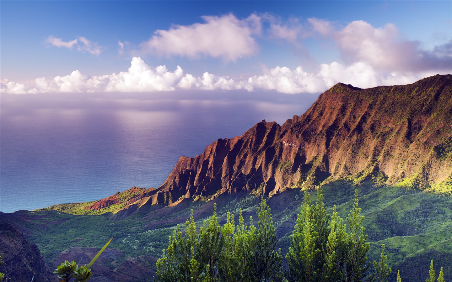 Windows 8 fond d'écran thème: paysage hawaïen #12 - 1440x900