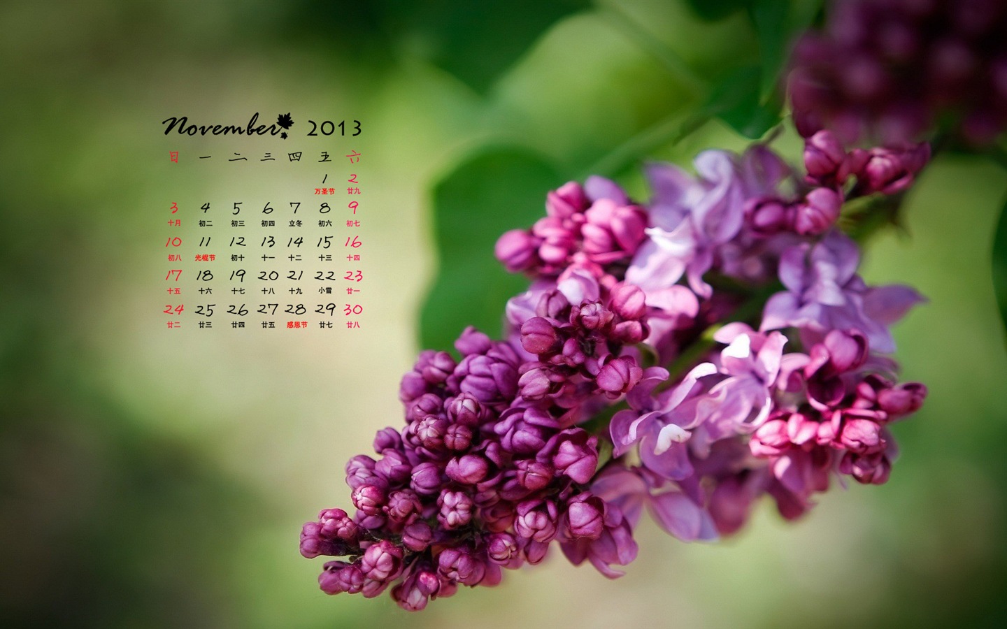 Novembre 2013 Calendar Wallpaper (1) #18 - 1440x900