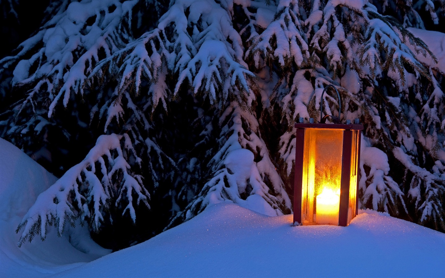 윈도우 8 테마 배경 화면의 HD : 겨울 눈 밤 #2 - 1440x900