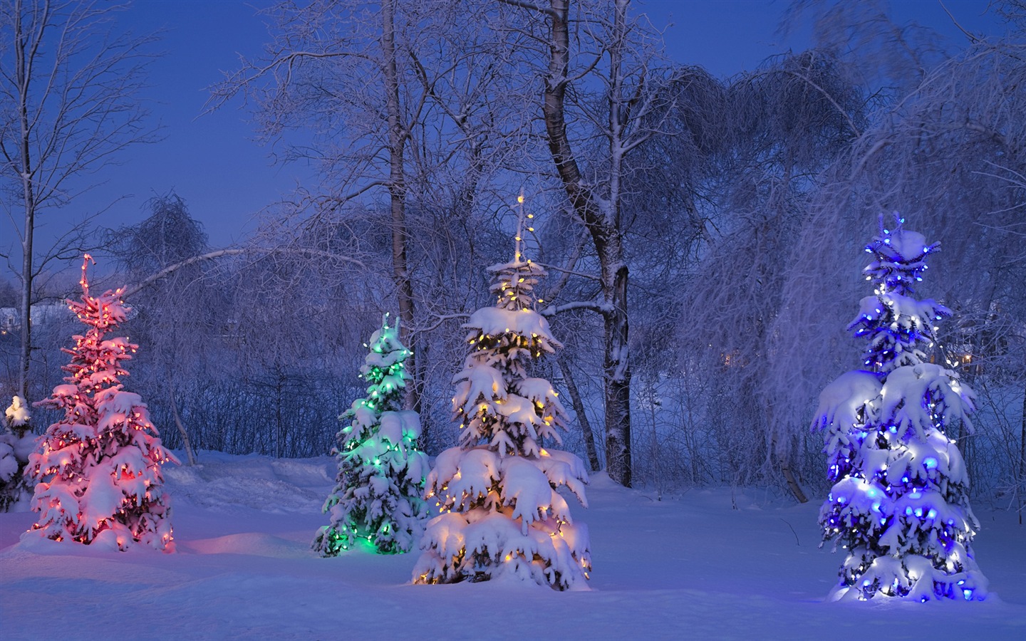 Windows 8 主题高清壁纸：冬季雪的夜景8 - 1440x900