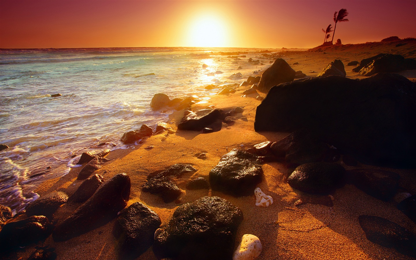Windows 8 主题壁纸：海滩的日出日落美景1 - 1440x900