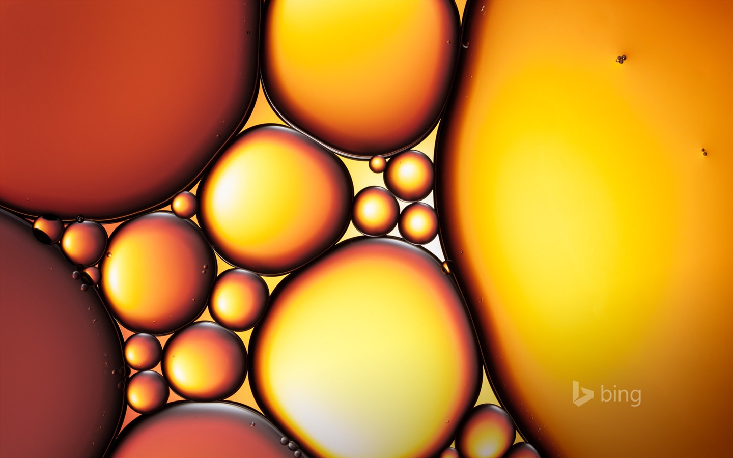 마이크로 소프트의 빙 11월 절묘한 HD 벽지 #16 - 1440x900