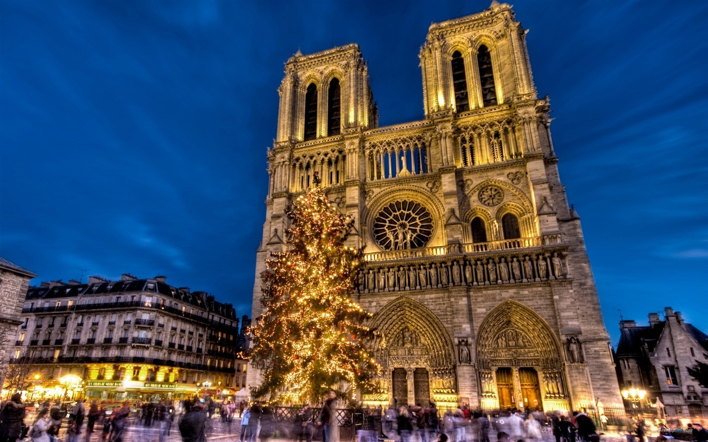 Notre Dame HD Wallpapers #7 - 1440x900