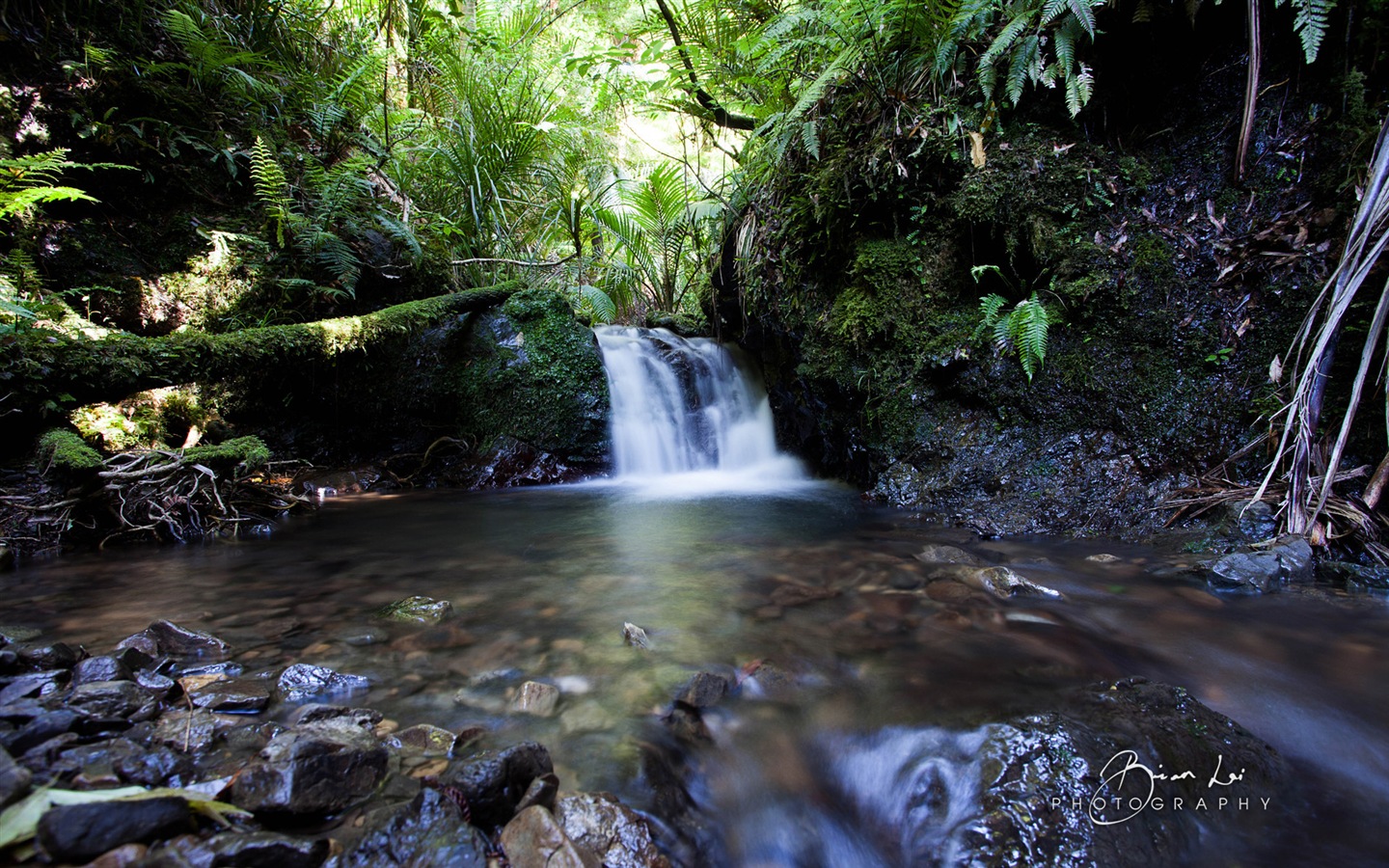 뉴질랜드 북섬의 아름다운 풍경, 윈도우 8 테마 배경 화면 #8 - 1440x900