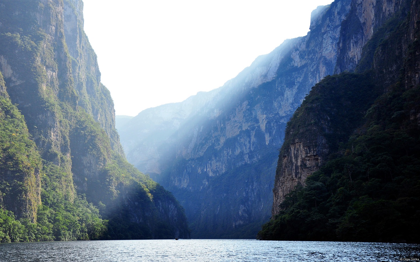 Belles montagnes, lac, forêt, fonds d'écran Windows 8 thème HD #8 - 1440x900