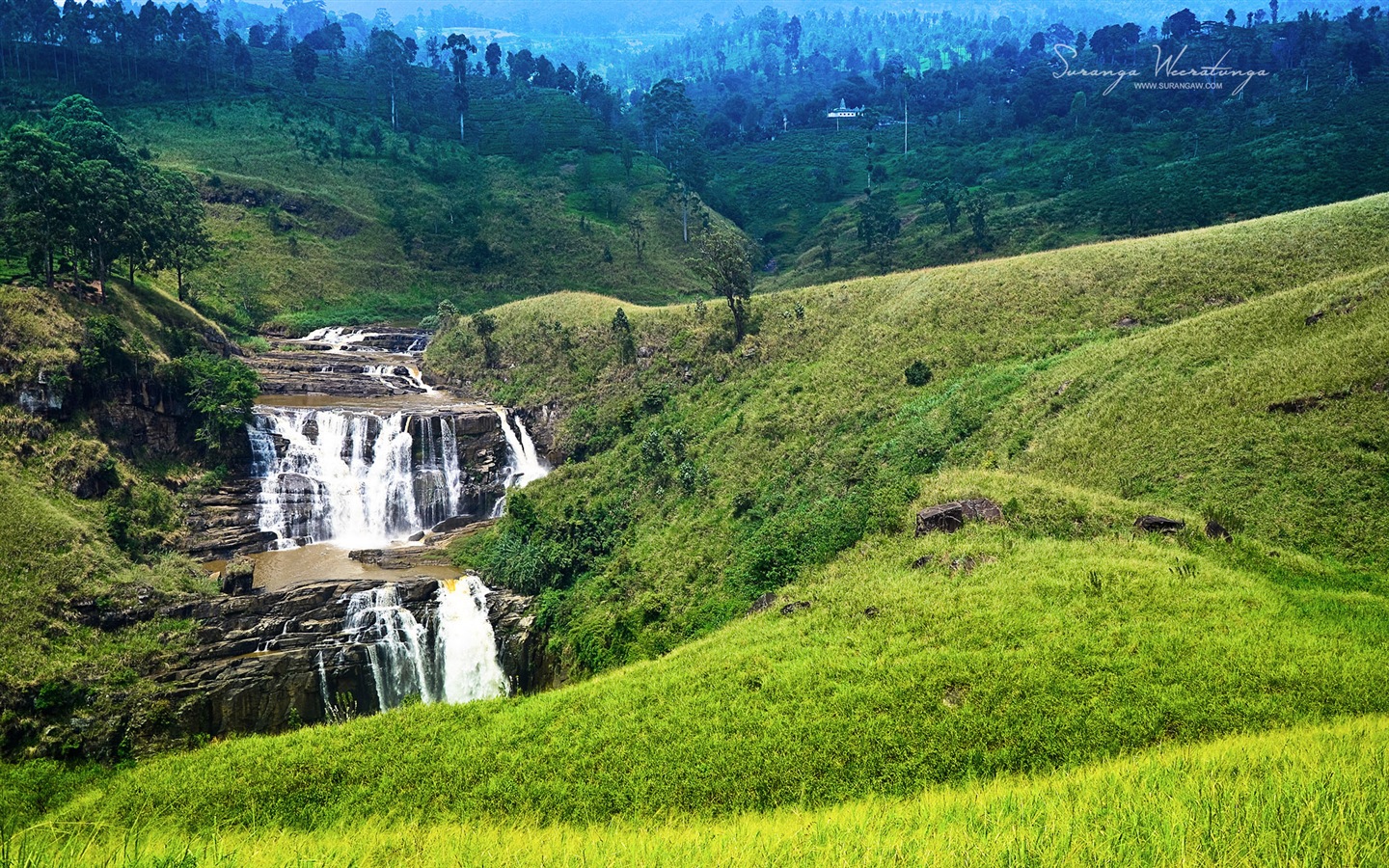 Sri Lanka style de paysage, Windows 8 fonds d'écran thématiques #17 - 1440x900