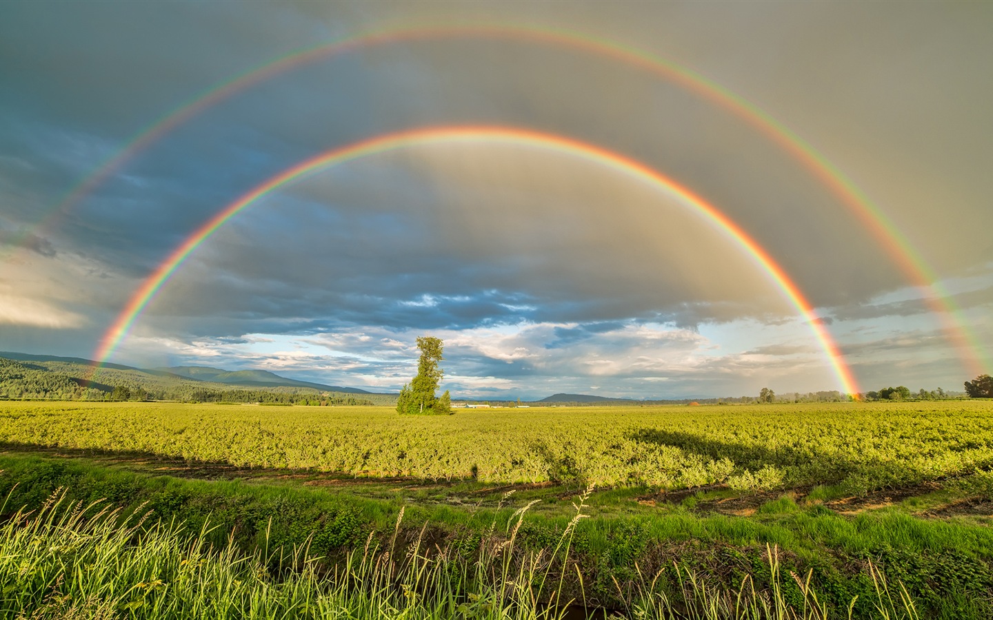 美しい虹の風景のHDの壁紙 #1 - 1440x900