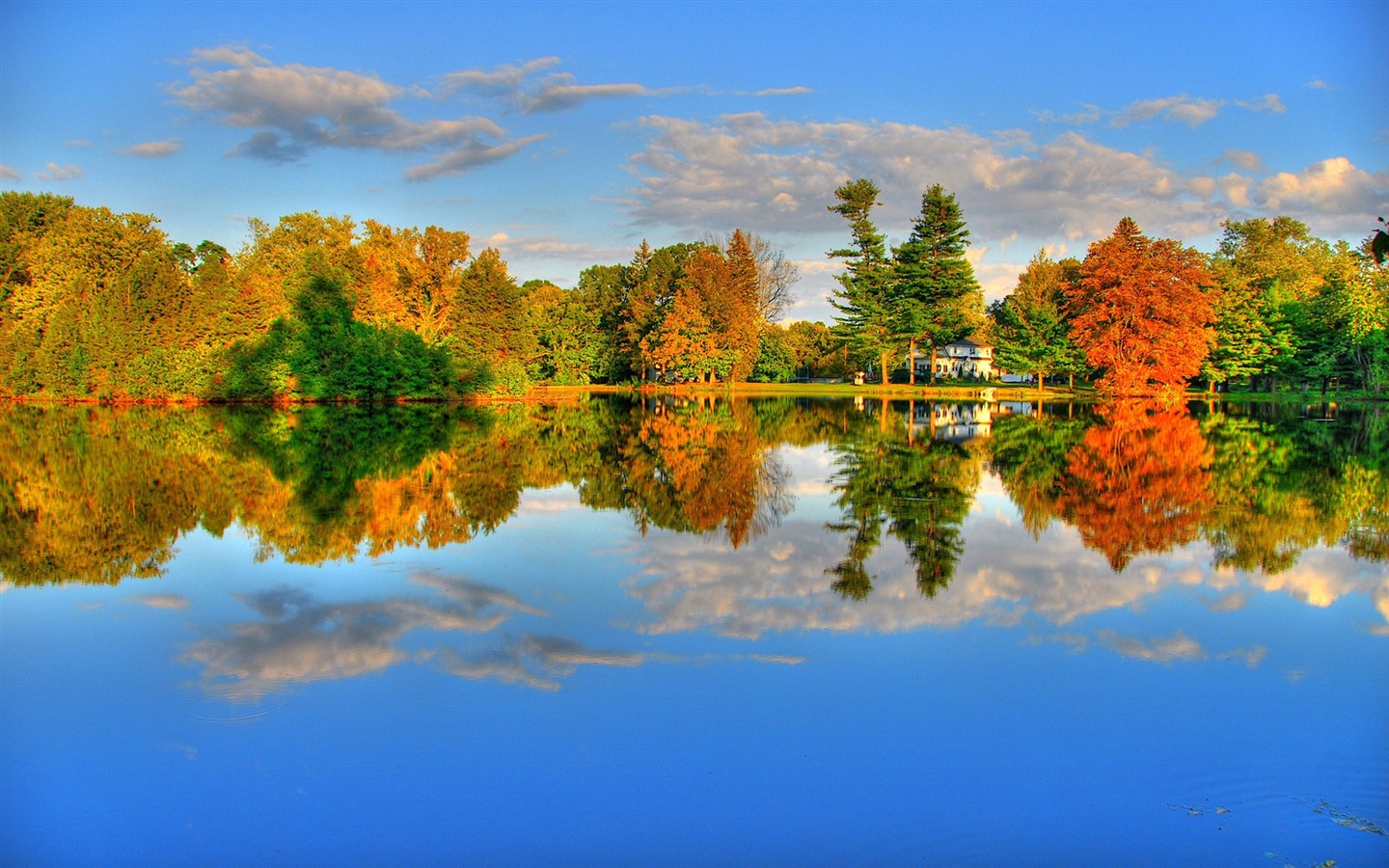 秋天的水和樹 高清壁紙 #10 - 1440x900