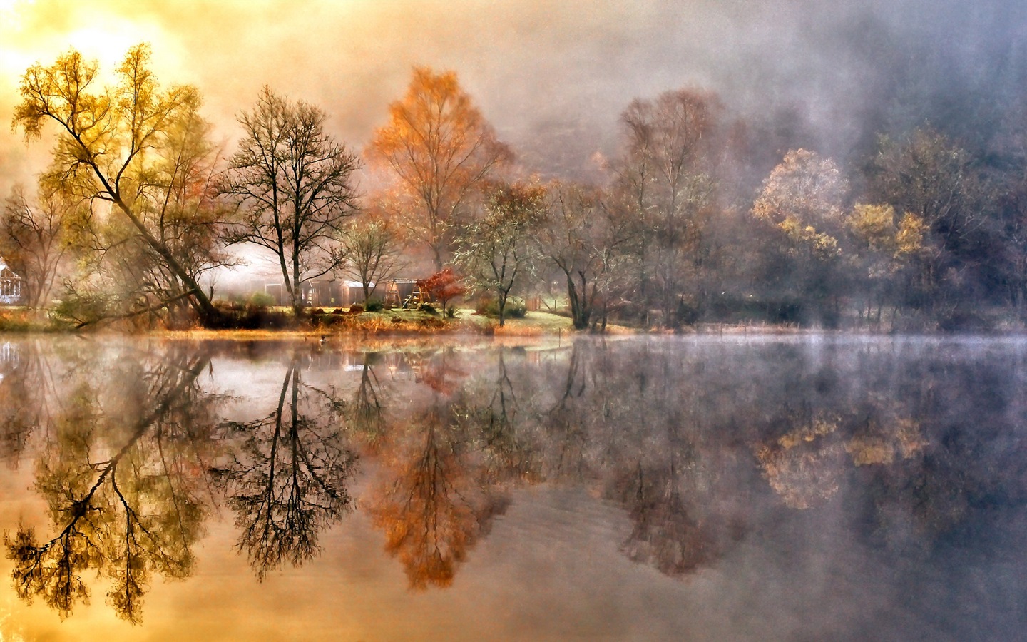 Foggy podzimní listí a stromy HD Tapety na plochu #15 - 1440x900