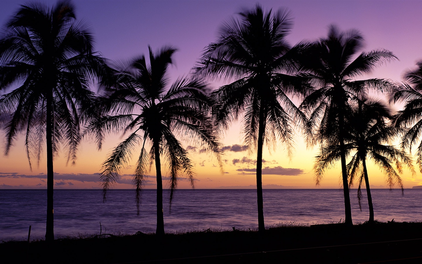 Красивый пляж закат, Windows 8 панорамные картинки на рабочий стол #1 - 1440x900