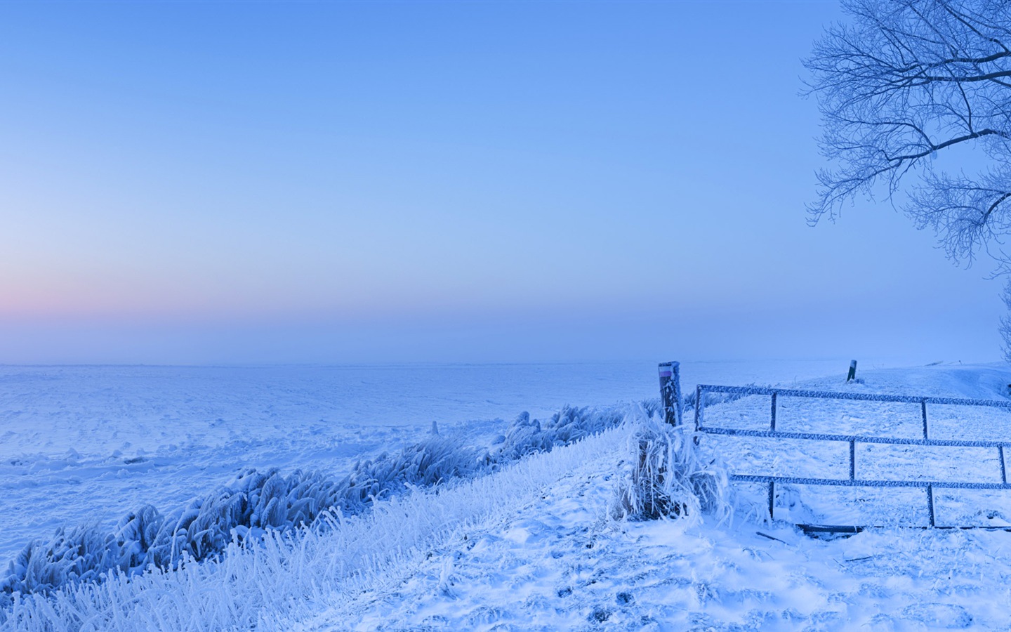 Красивая холодная зима снег, Windows 8 панорамные картинки на рабочий стол #2 - 1440x900