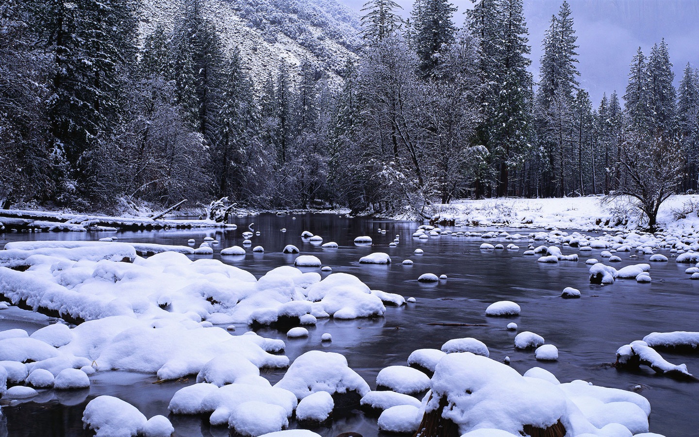 Krásná zima sníh, Windows 8 panoramatické, širokoúhlé tapety #10 - 1440x900