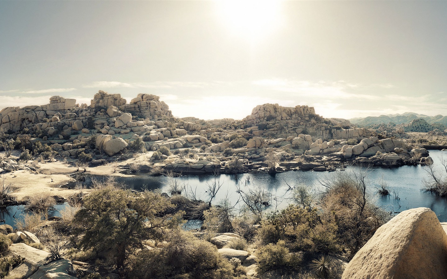 뜨겁고 건조한 사막, 윈도우 8 파노라마 와이드 스크린 배경 화면 #3 - 1440x900
