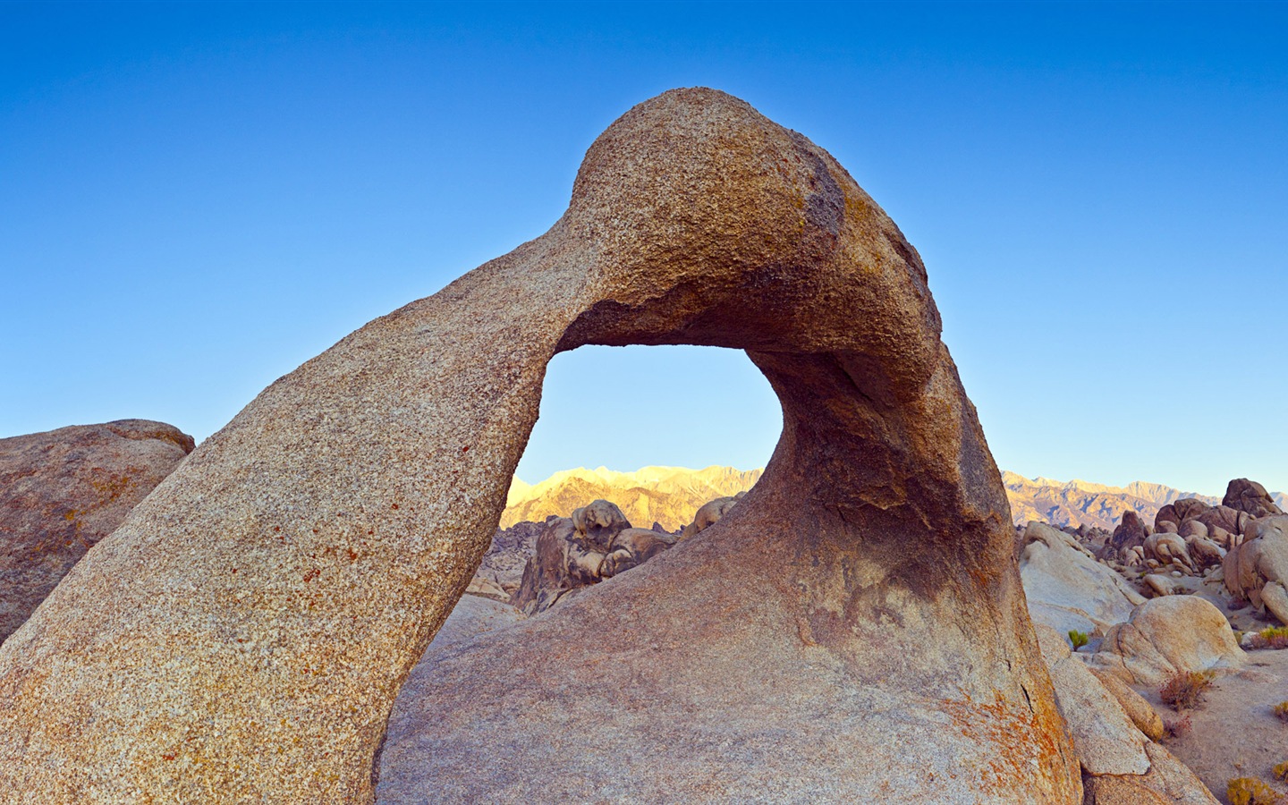 뜨겁고 건조한 사막, 윈도우 8 파노라마 와이드 스크린 배경 화면 #5 - 1440x900