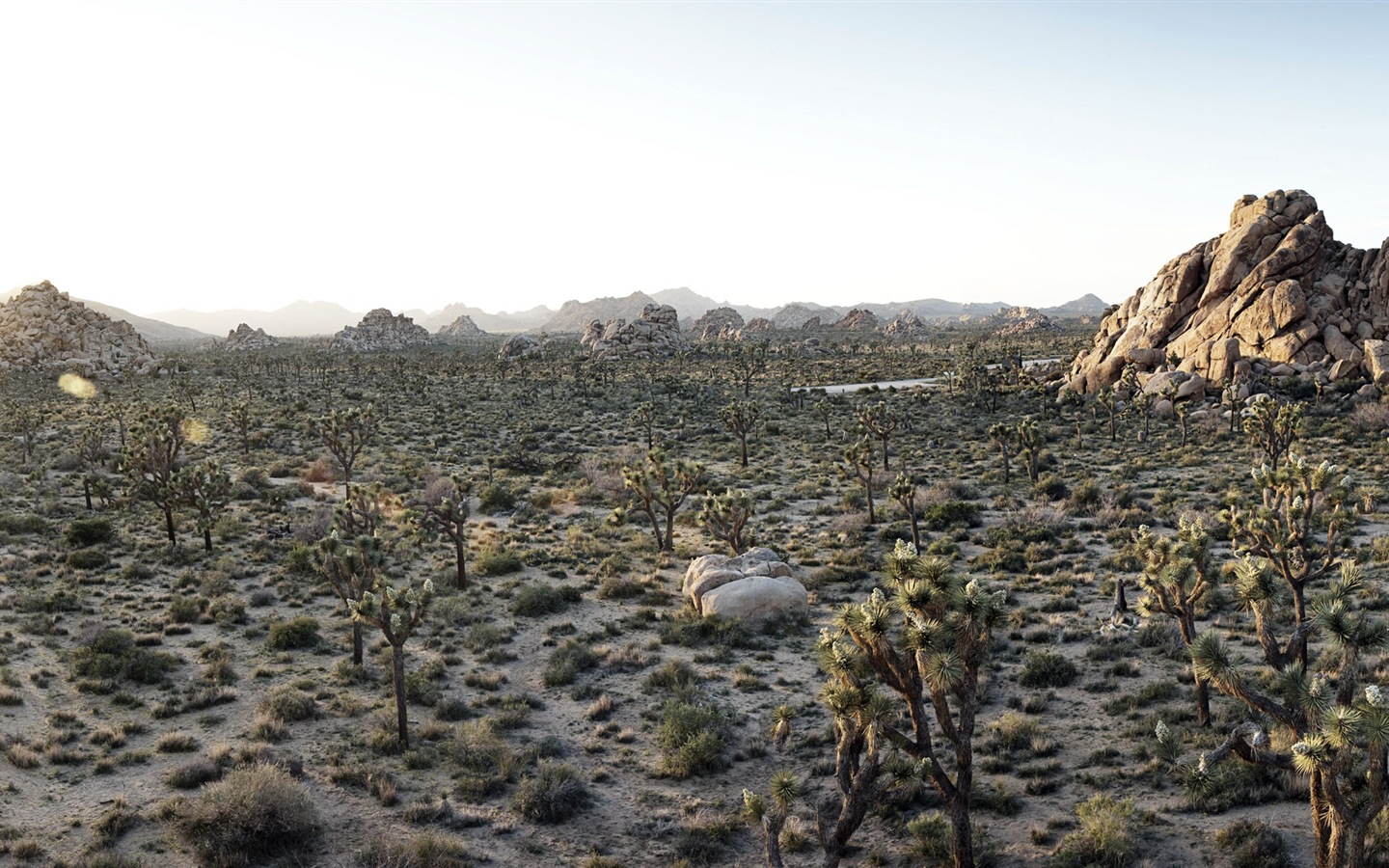 뜨겁고 건조한 사막, 윈도우 8 파노라마 와이드 스크린 배경 화면 #9 - 1440x900